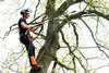 PROFESSIONAL GRADE ARBORAPID TELESCOPIC POLE SAW SET / 3 PARTS / 2.6' - 6.2' EXTENDABLE LENGTH WITH 13" ARBORAPID SAW BLADE #75858  "THE CLIMBERS POLE SAW"