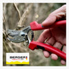 PROFESSIONAL PRUNING SHEAR / FORGED / STRAIGHT CUTTING BLADE #1766